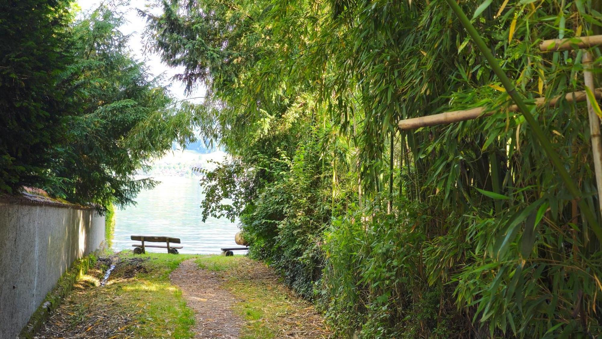 Seepanorama Ohningen